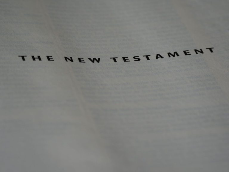 What Is the Best New Testament Translation in 2026?