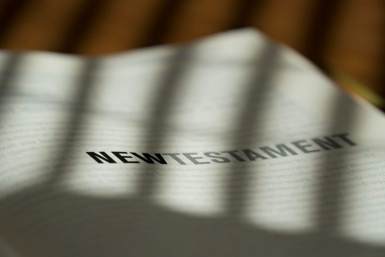 New Testament Guide: A 2026 Overview for Beginners