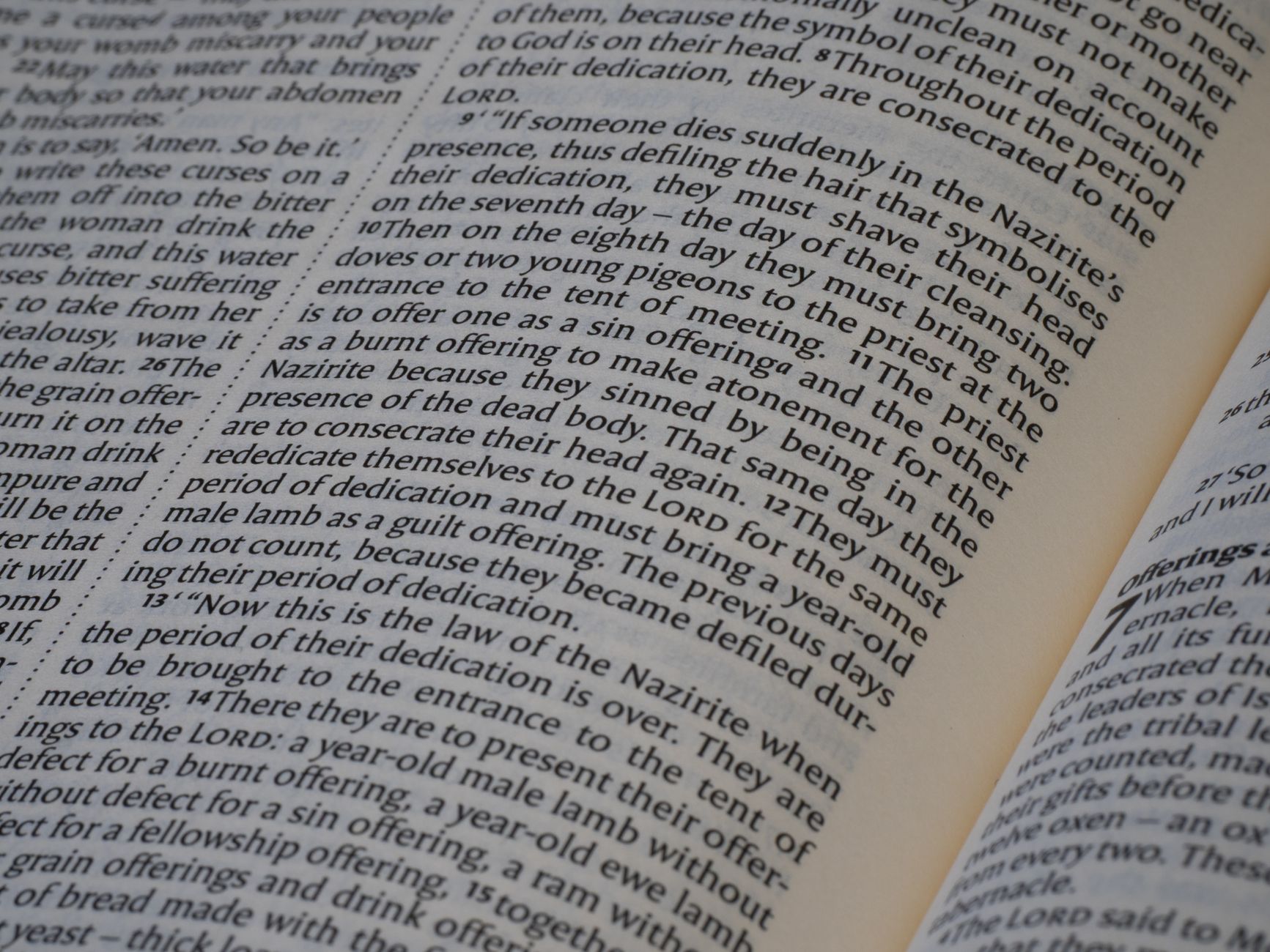 Biblical Covenants Explained: A 2026 Guide