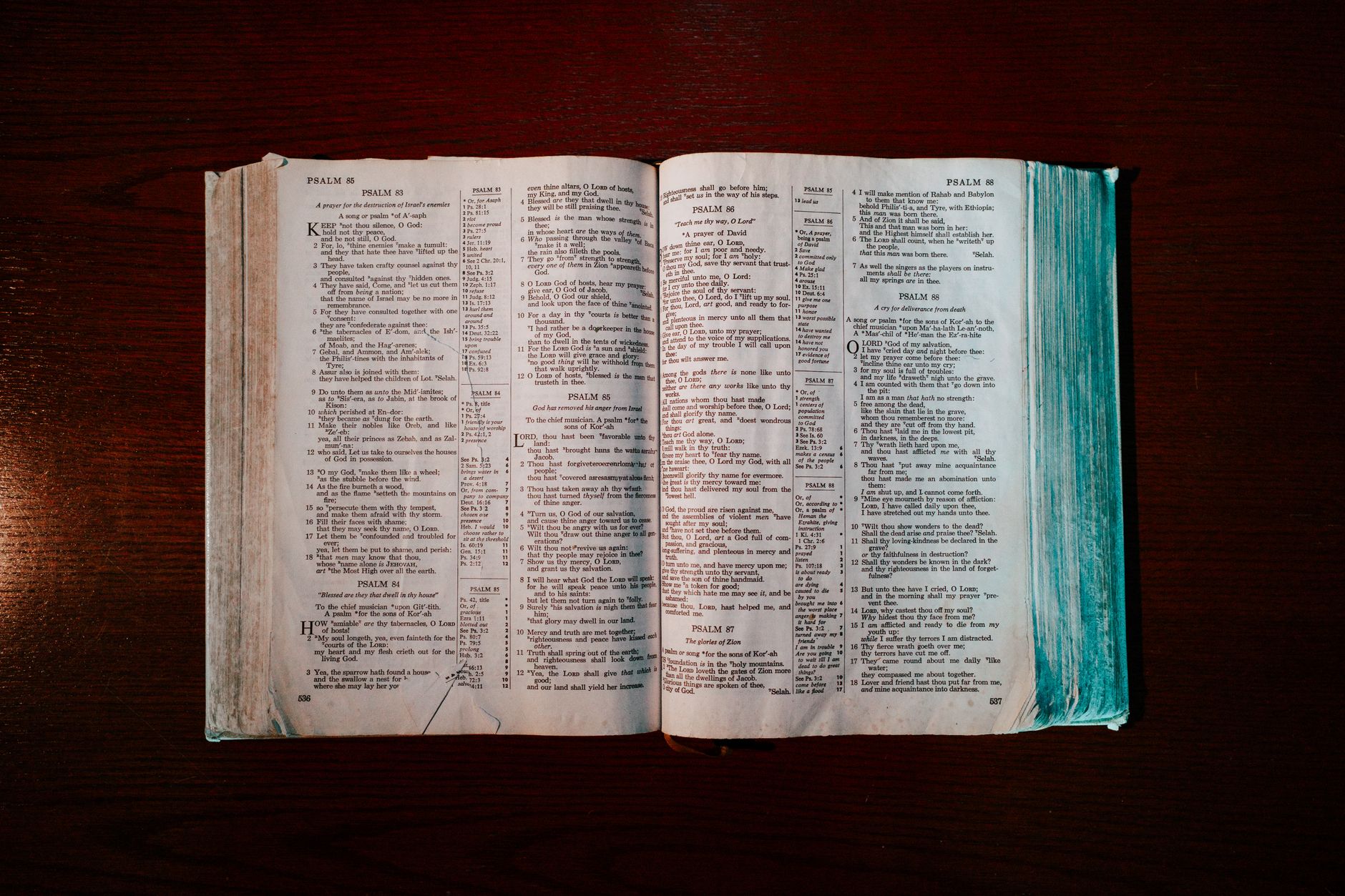 What Is the Best Way to Use a Psalms Devotional in 2026?