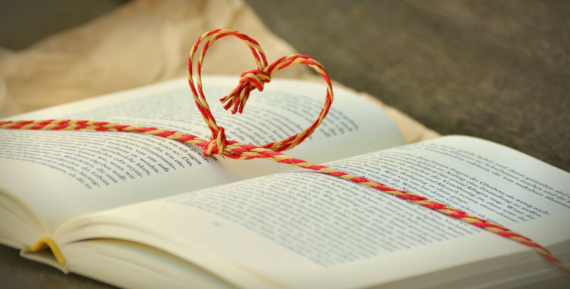 Where is a Good Place to Start Reading the Bible in 2026?