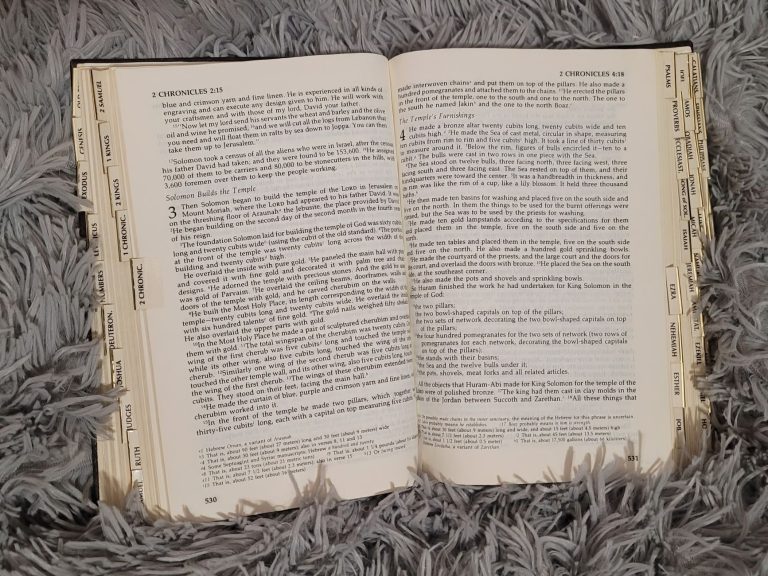 Who divided the Bible into chapters and verses? Why and when was it done?