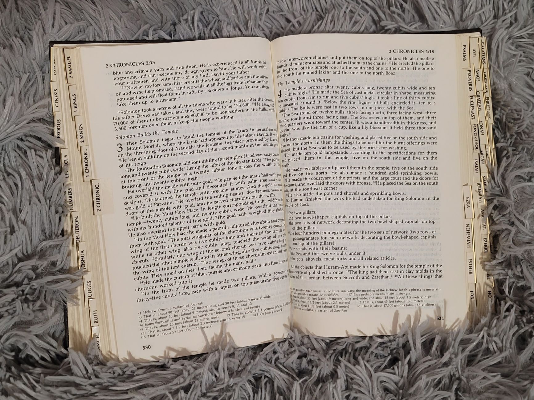 Who divided the Bible into chapters and verses? Why and when was it done?