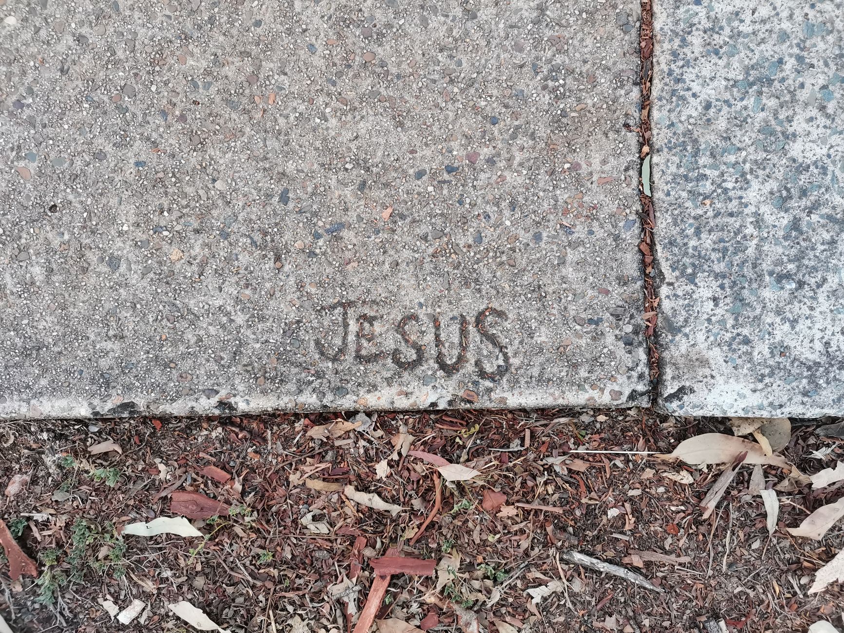 Why Didn’t Jesus Write Any Books in the Bible?